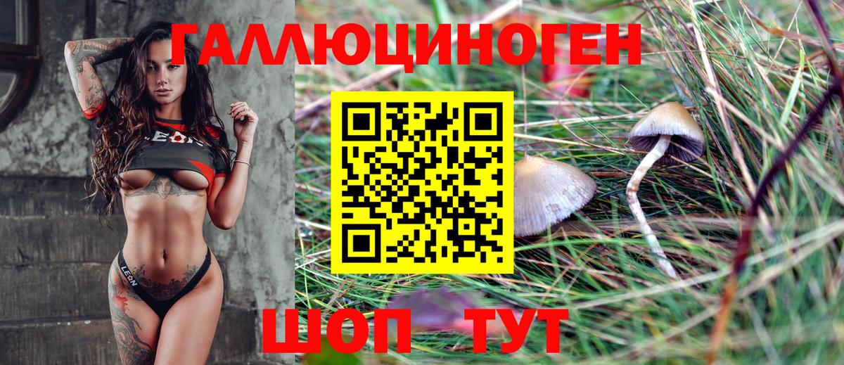 Галлюциногенные грибы Magic Shrooms  Вход с VPN  Чистополь  Галлюциногенные грибы мицелий 