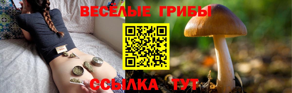 Псилоцибиновые грибы мицелий Чистополь